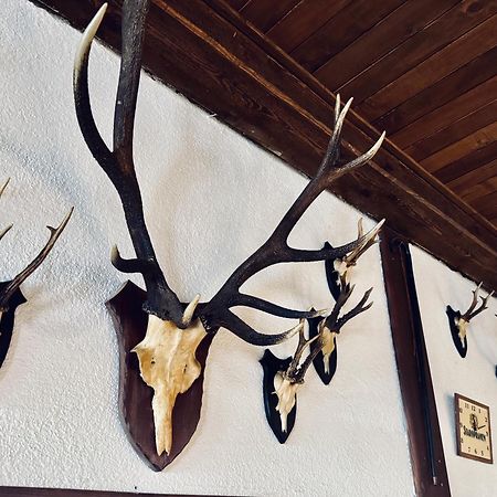 Hotel Myslivna Harrachov Extérieur photo