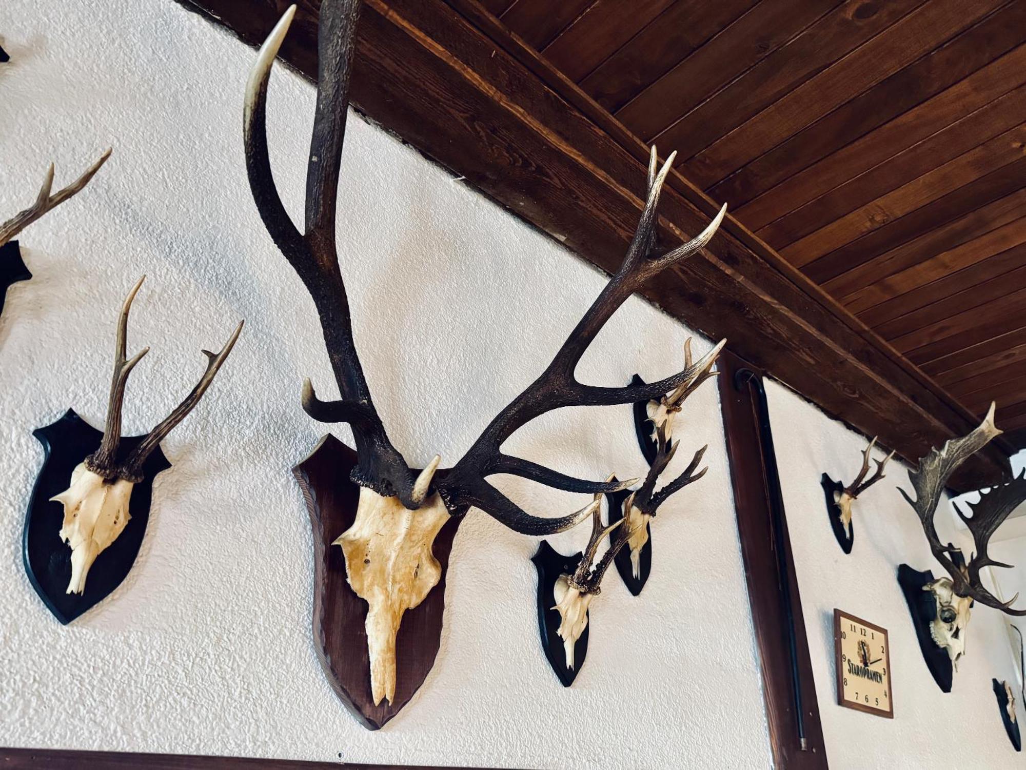 Hotel Myslivna Harrachov Extérieur photo
