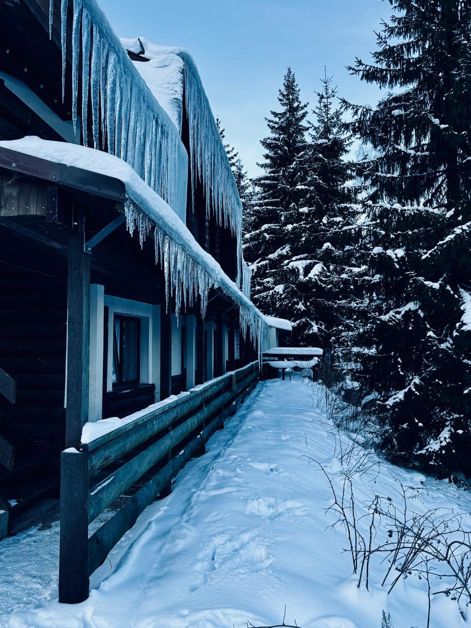 Hotel Myslivna Harrachov Extérieur photo